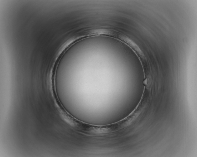 X0000116331039200912011128