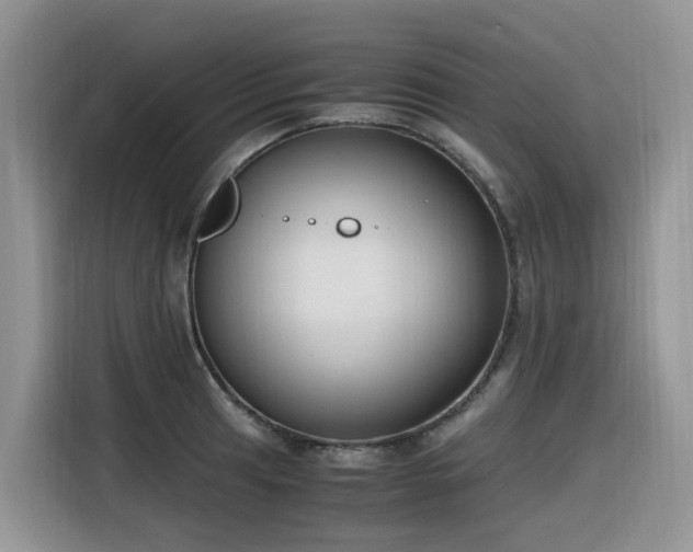 X0000116331041200912011128