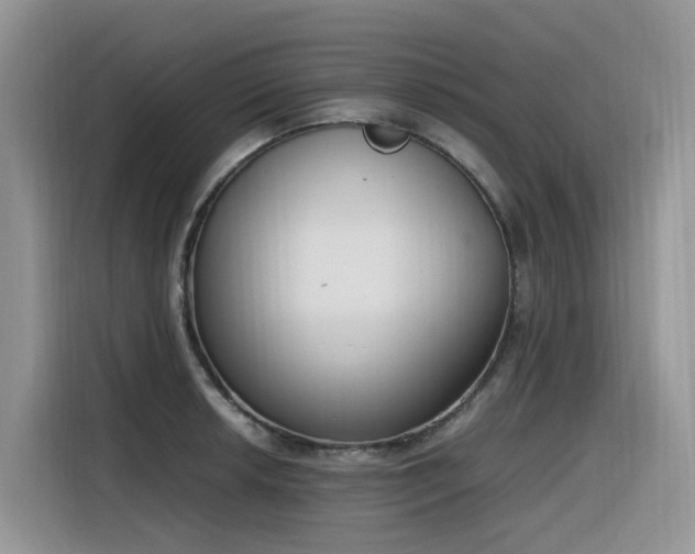 X0000116331042200912011128