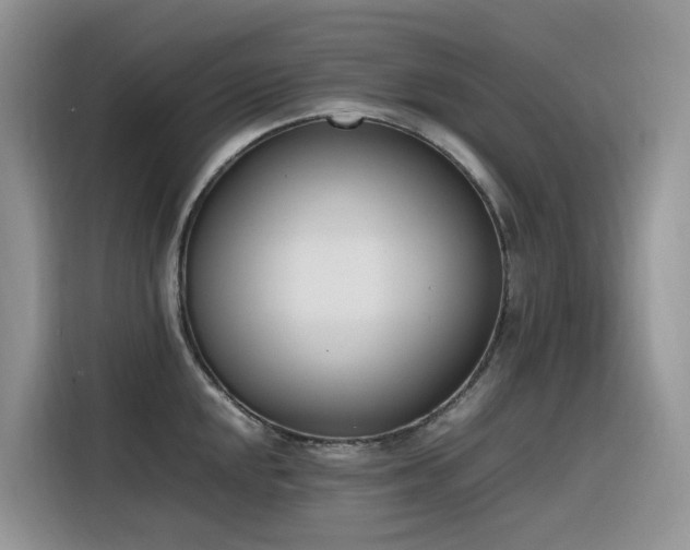 X0000116331048200912011128