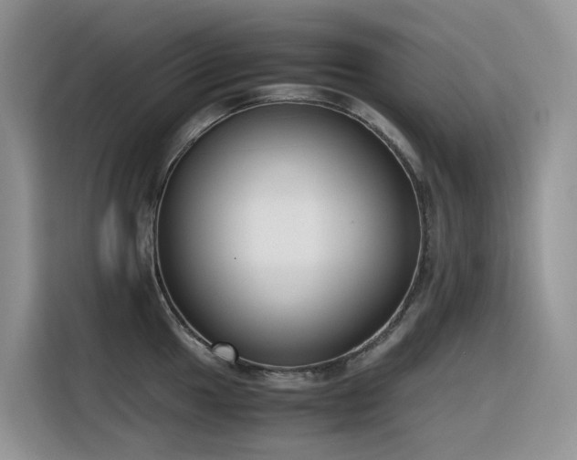 X0000116331049200912011128