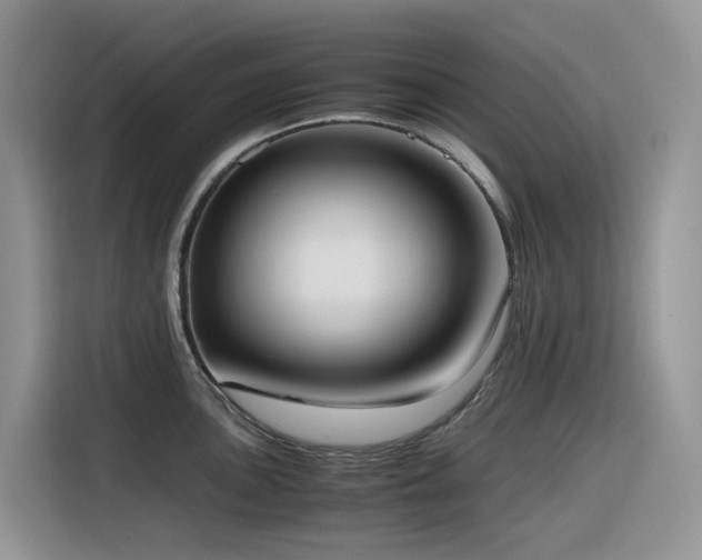 X0000116331051200912011128