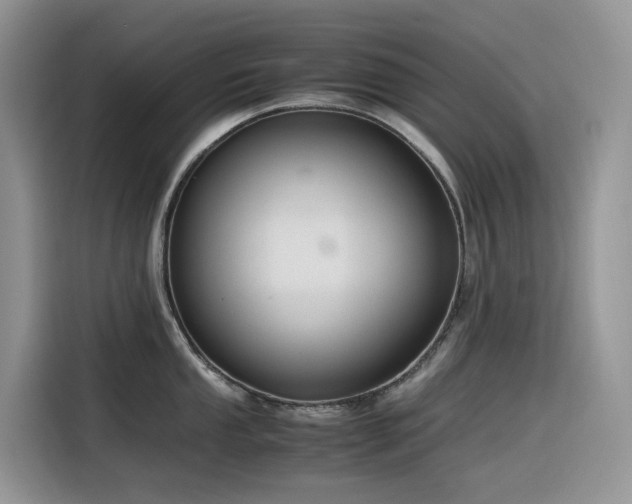 X0000116331053200912011129