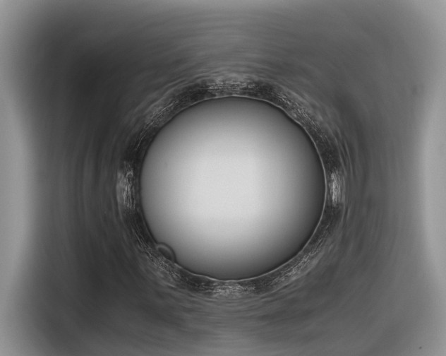 X0000116331059200912011128