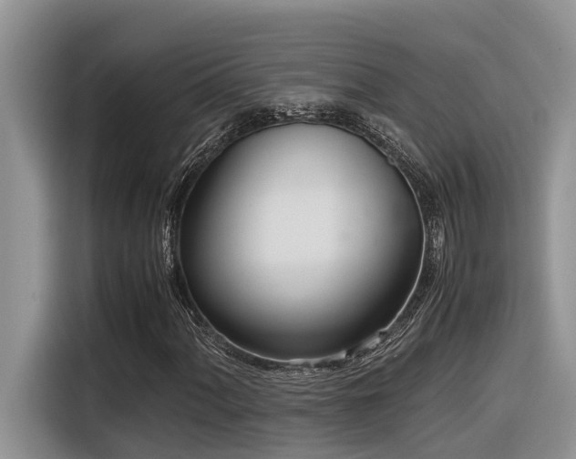 X0000116331060200912011128