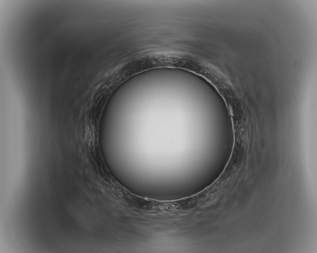 X0000116331061200912011128