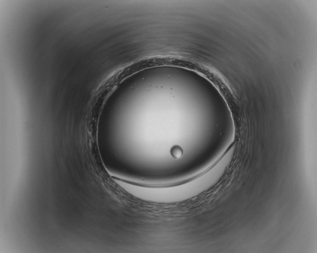 X0000116331064200912011128