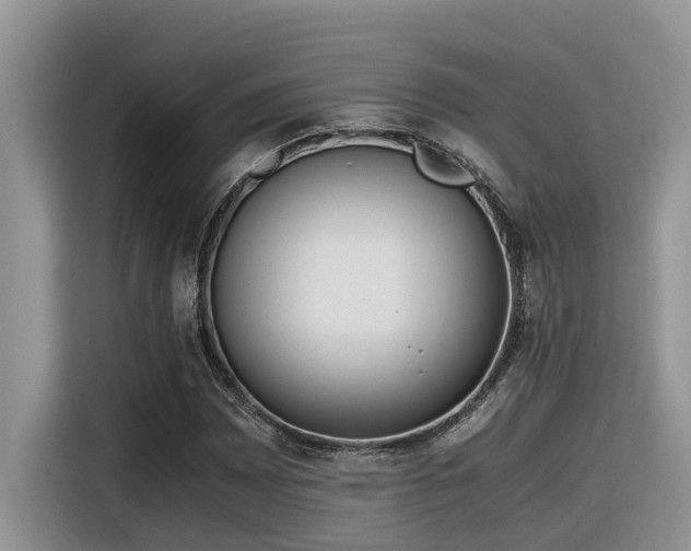 X0000116331065200912011128