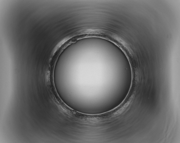 X0000116331066200912011128