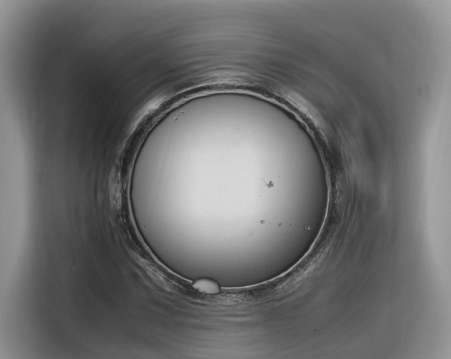 X0000116331067200912011128