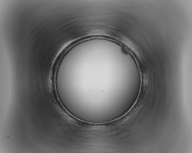 X0000116331068200912011128