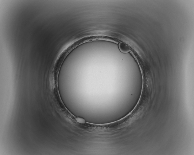 X0000116331069200912011128