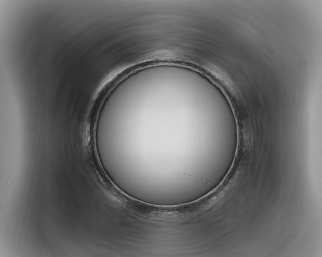 X0000116331070200912011128