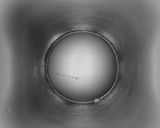 X0000116331071200912011128