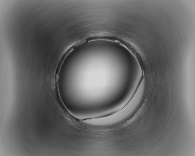 X0000116331073200912011128
