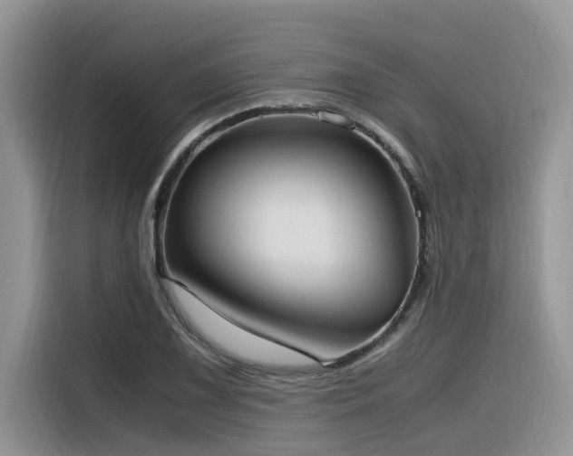 X0000116331075200912011128