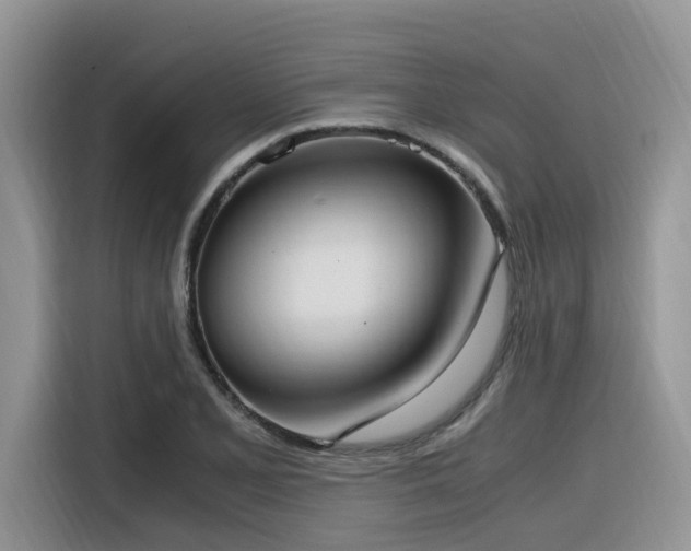 X0000116331077200912011128
