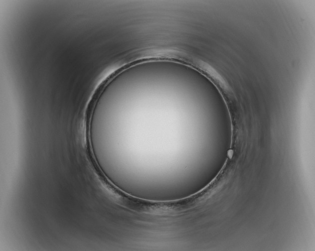 X0000116331079200912011128