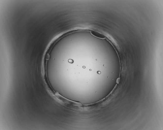X0000116331080200912011128