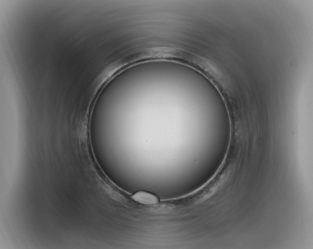 X0000116331081200912011128