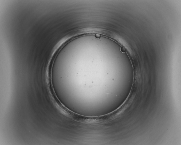 X0000116331082200912011128