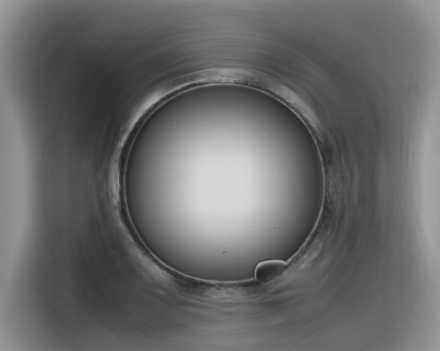 X0000116331083200912011128