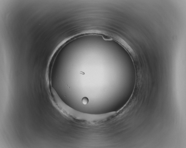 X0000116331084200912011128
