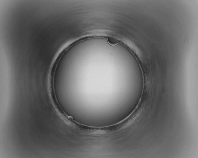 X0000116331085200912011128