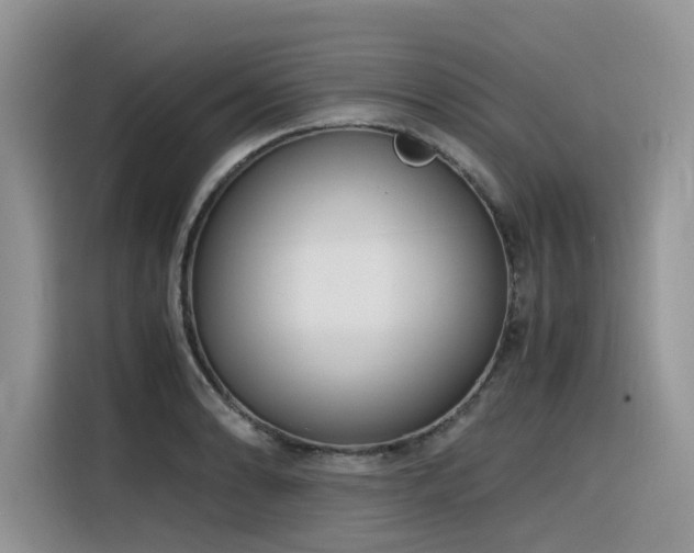 X0000116331086200912011128