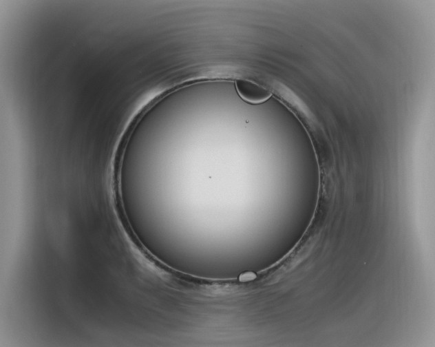X0000116331087200912011128