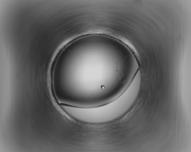 X0000116331088200912011128