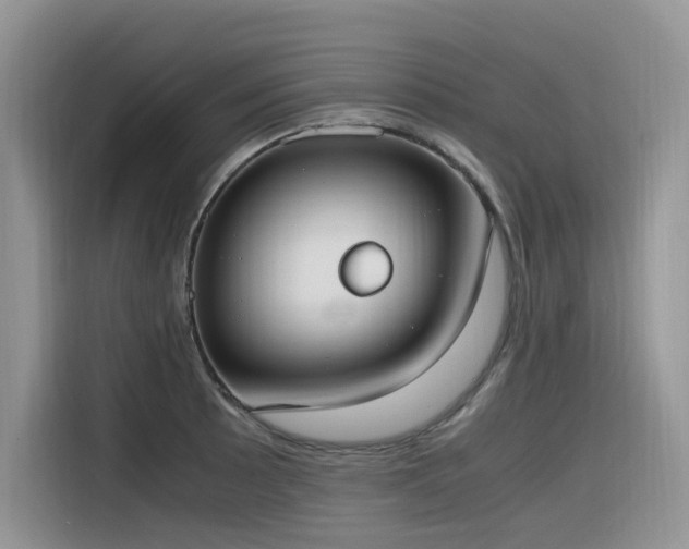 X0000116331089200912011128