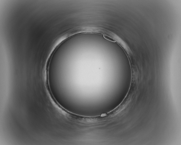 X0000116331095200912011127