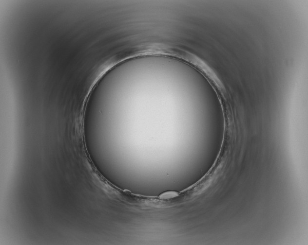 X0000116331097200912011127