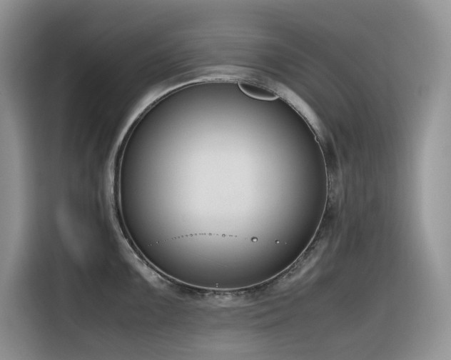 X0000116331099200912011127