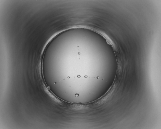 X0000116331100200912011127