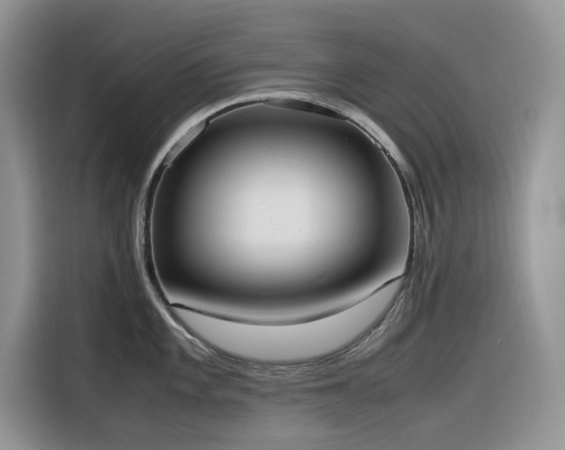 X0000116331101200912011127