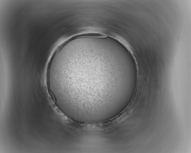 X0000116331104200912011127