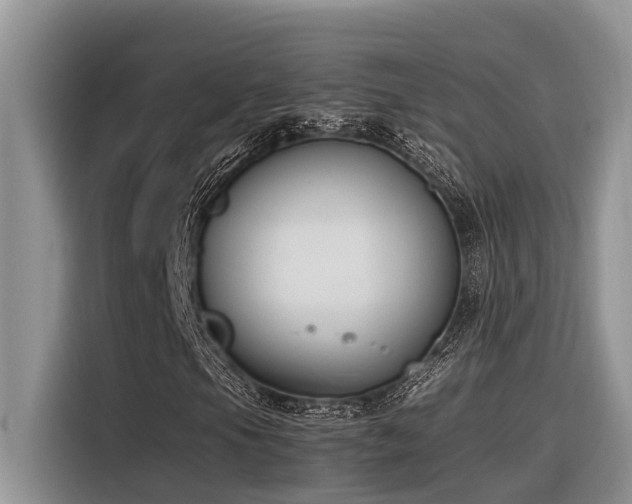 X0000116331105200912011127