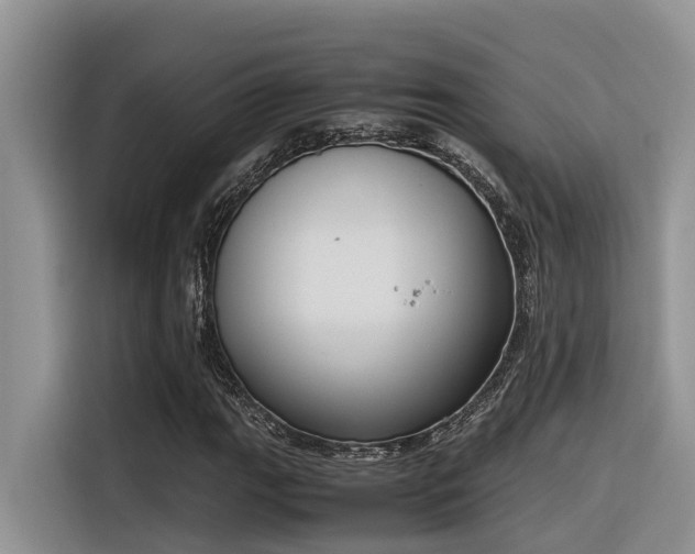 X0000116331111200912011127
