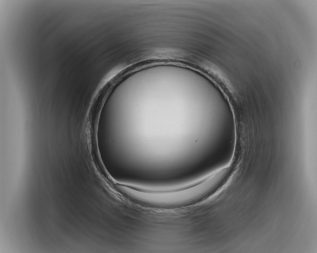 X0000116331114200912011127
