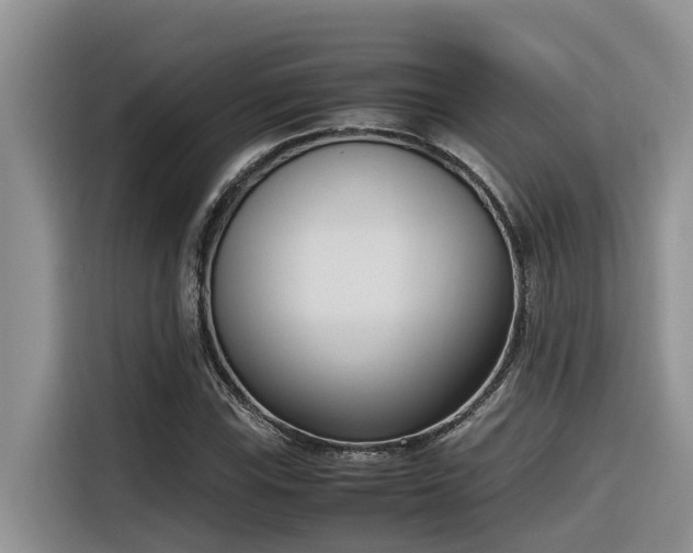 X0000116331115200912011127