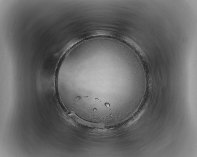 X0000116331121200912011127