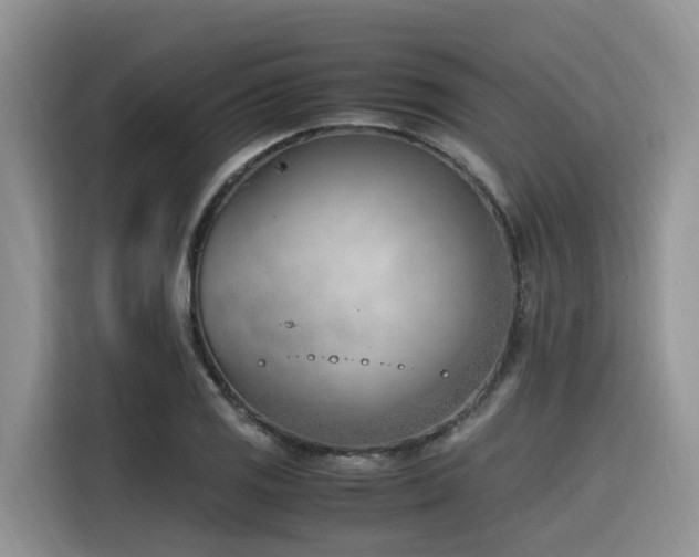 X0000116331125200912011127