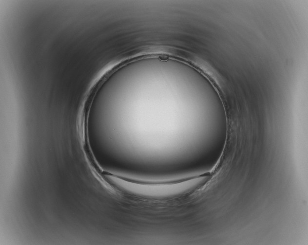 X0000116331127200912011127