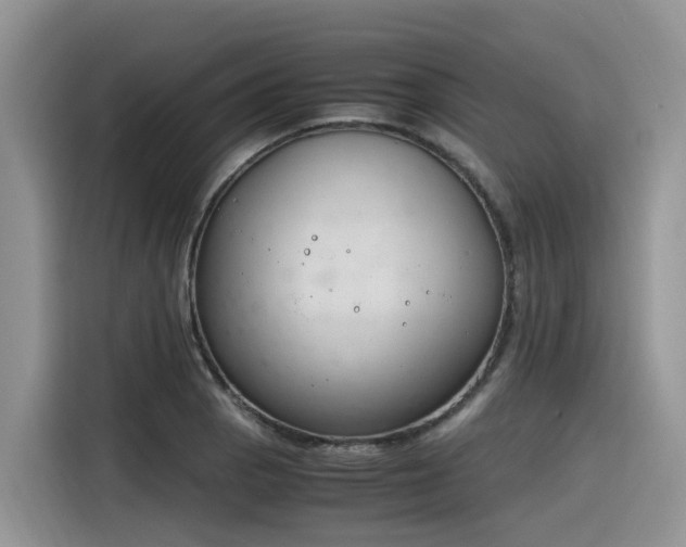 X0000116331129200912011127
