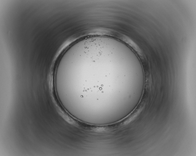 X0000116331130200912011127