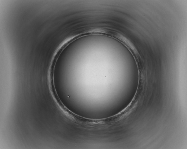 X0000116331133200912011127