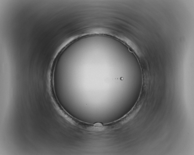 X0000116331134200912011127