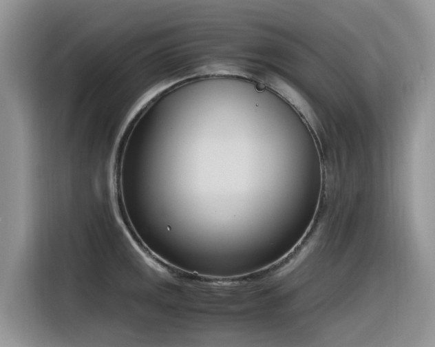 X0000116331141200912011127